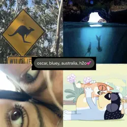 yay