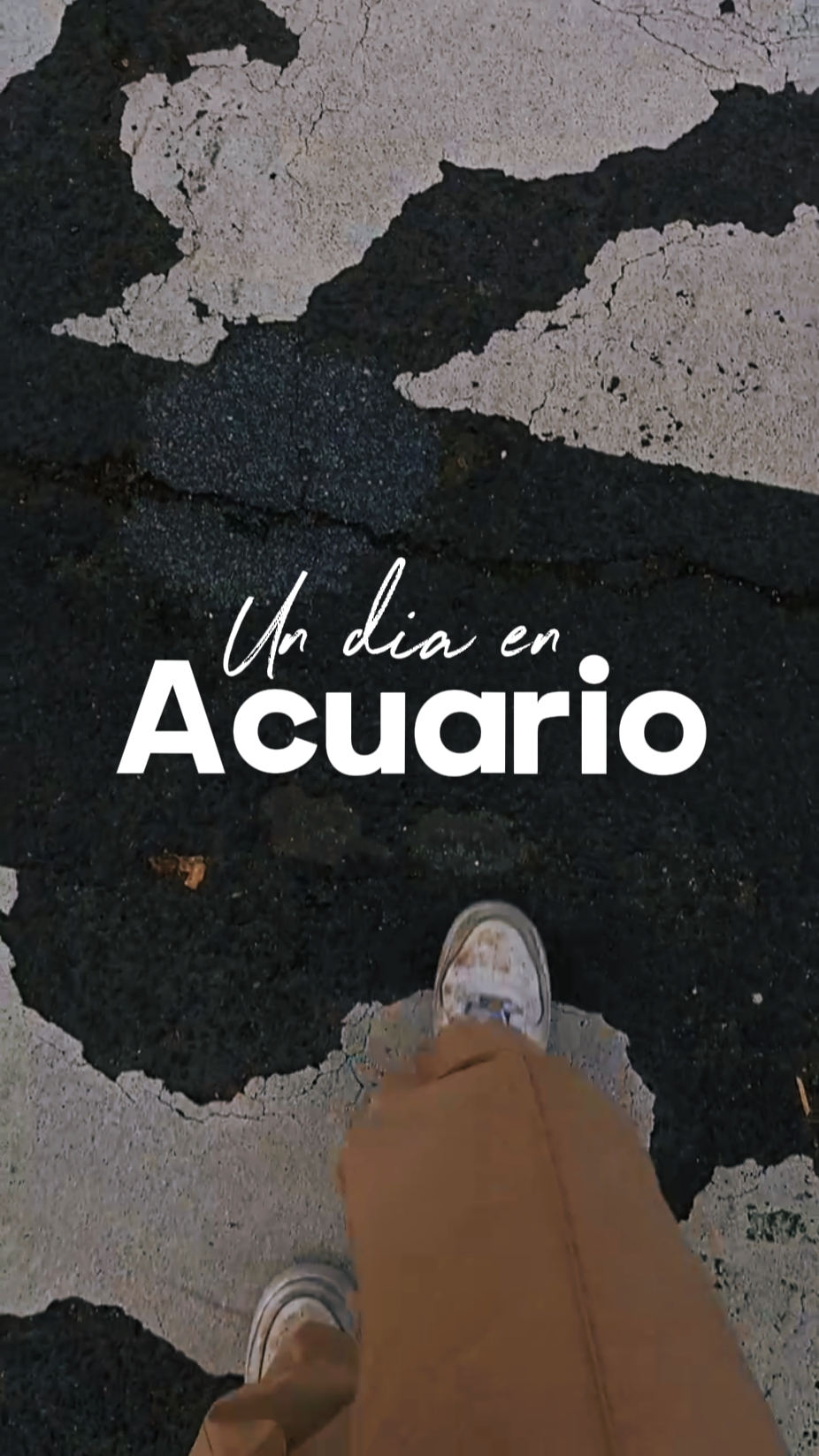 Un día en acuario 