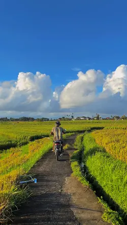Nature Klip