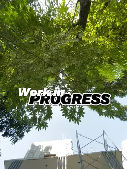Work in progress..