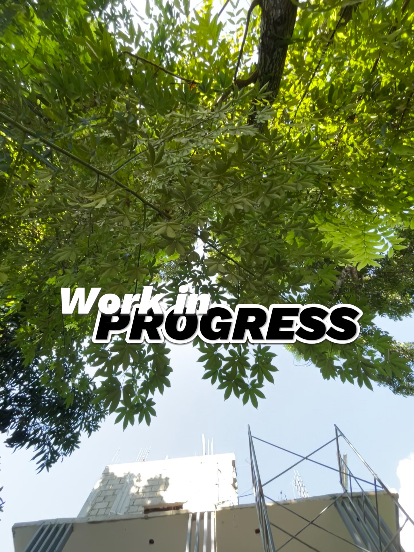 Trabajo en progreso..