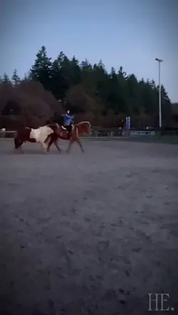 Horse SlowMo