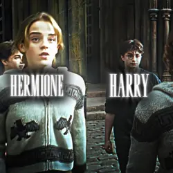 MONTAGEM LADRAO