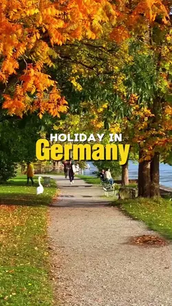Holiday Vlog