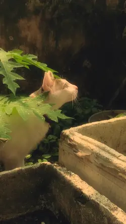 10 video màu xinh🍃