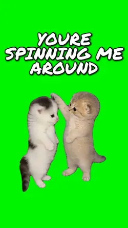 SPINNING ME AROUND