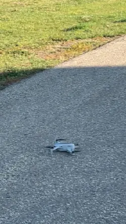 Drone template