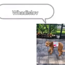 Watdislov