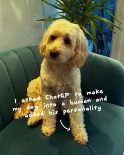 ChatGPT template 