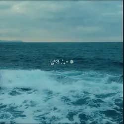 sofia foto dan video