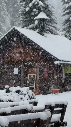 winter vibes