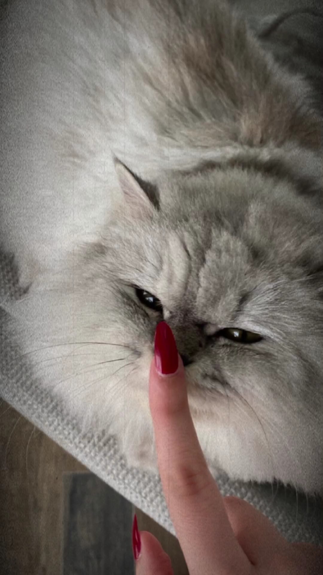 اللهم امين.. 