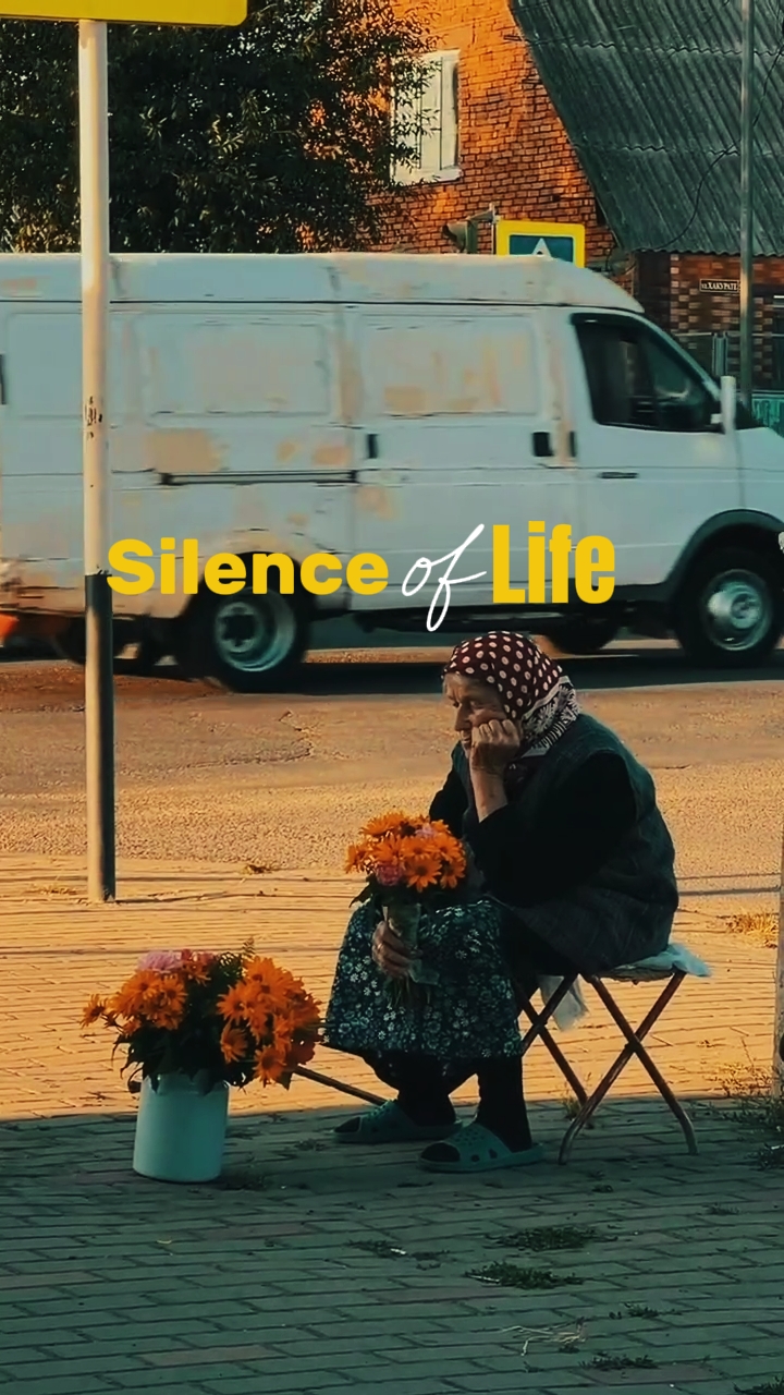 Silencio de Vida