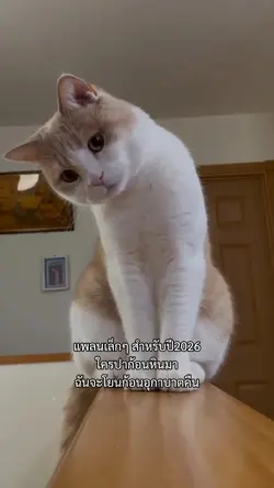 แพลนเล็กๆในหัว