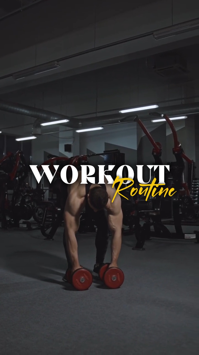 workout Routine