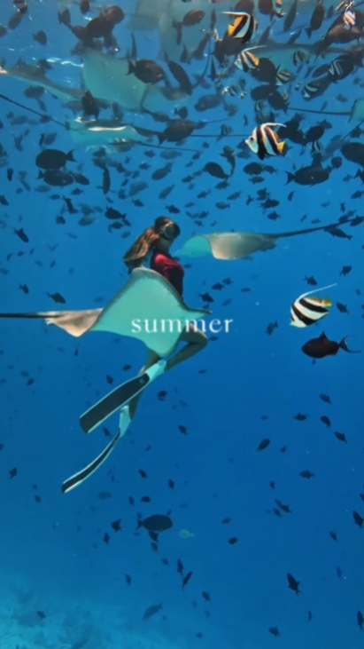 summer