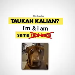 apasih kata "i'm" it