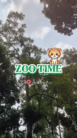Zoo Time 