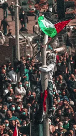 free palestina