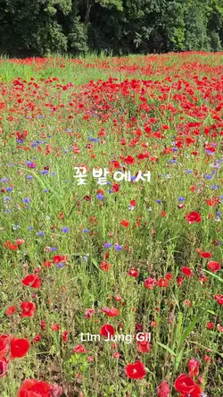 #꽃밭에서