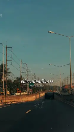 แต่บางเทือกะลืมคาว
