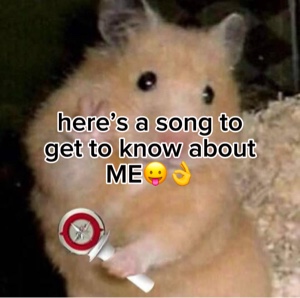 all about me! again!