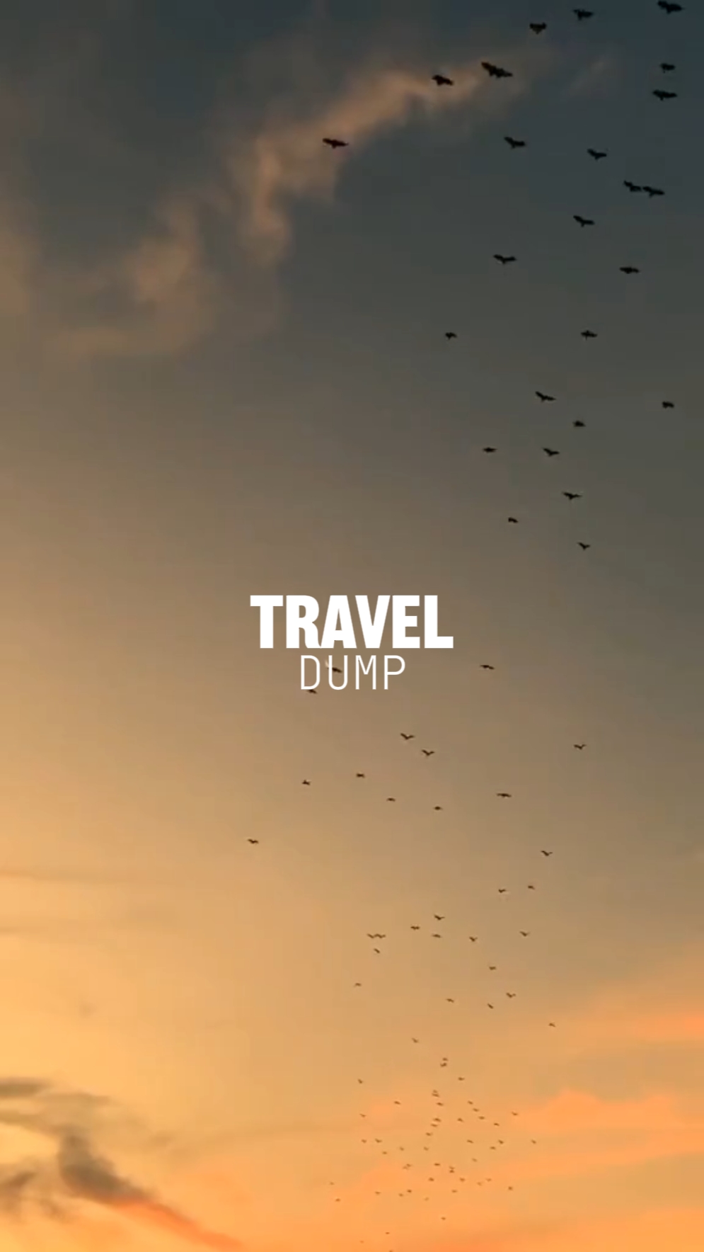 TRAVEL DUMP