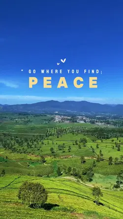 Go where u find peac