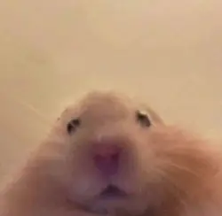 4학년  버전! 신청받습니당!