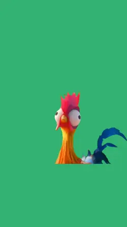 chicken looking