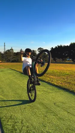 Wheelies