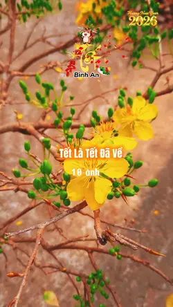 Tết bình an