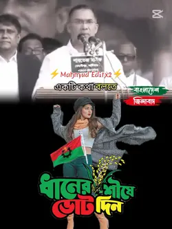 BNP কে ভোট দিন 