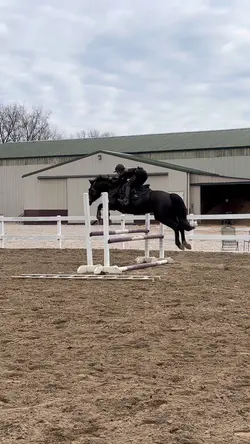 ZOOOM!! Ari’s cool!!