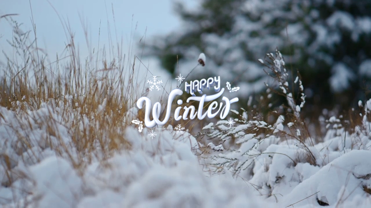 JOYEUX HIVER