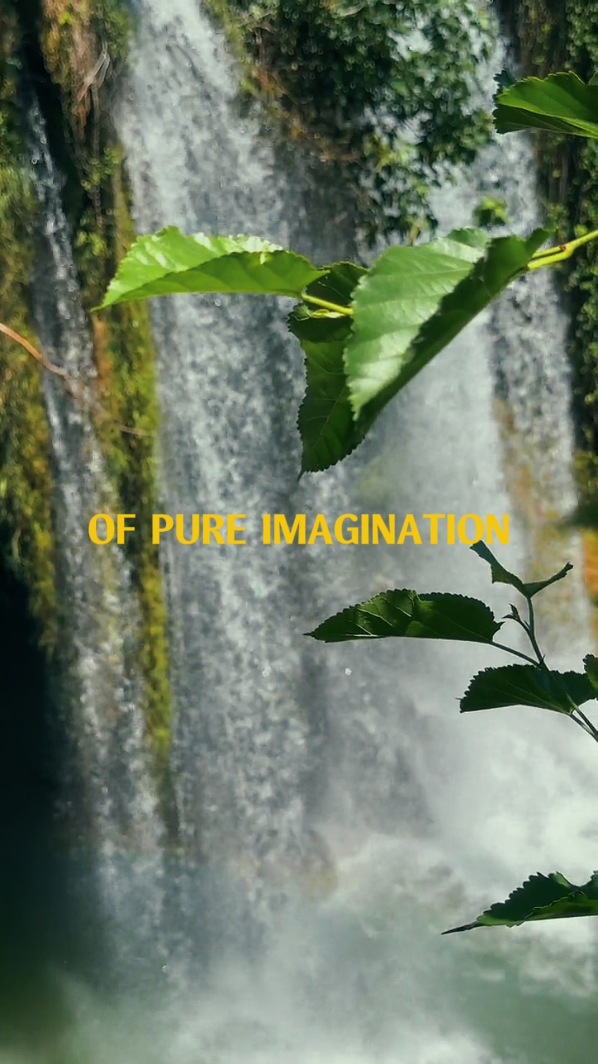PURE IMAGINATION