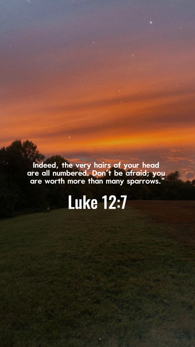 Lucas 12: 7