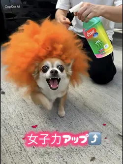 美容室