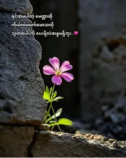 ရင်ထဲမပါတဲ့မေတ္တာ