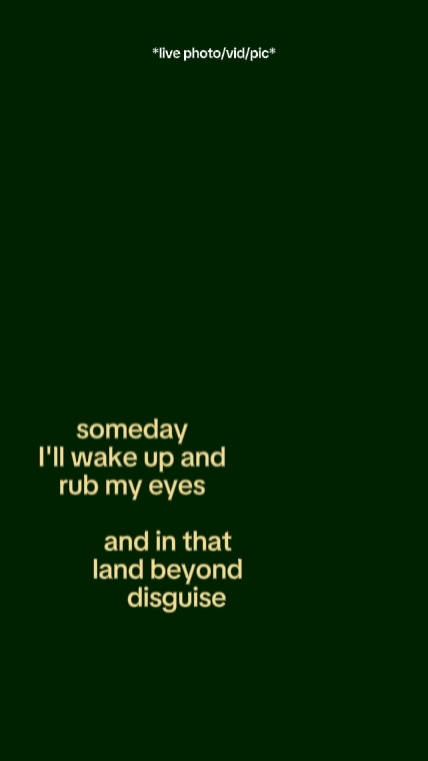somedayillwakeupand