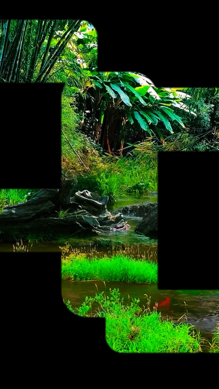 transitions cool