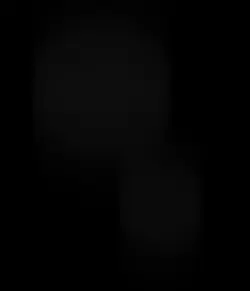 Adee template