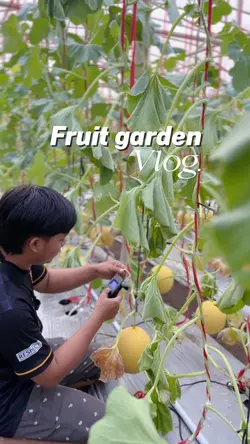 Fruit Garden Vlog