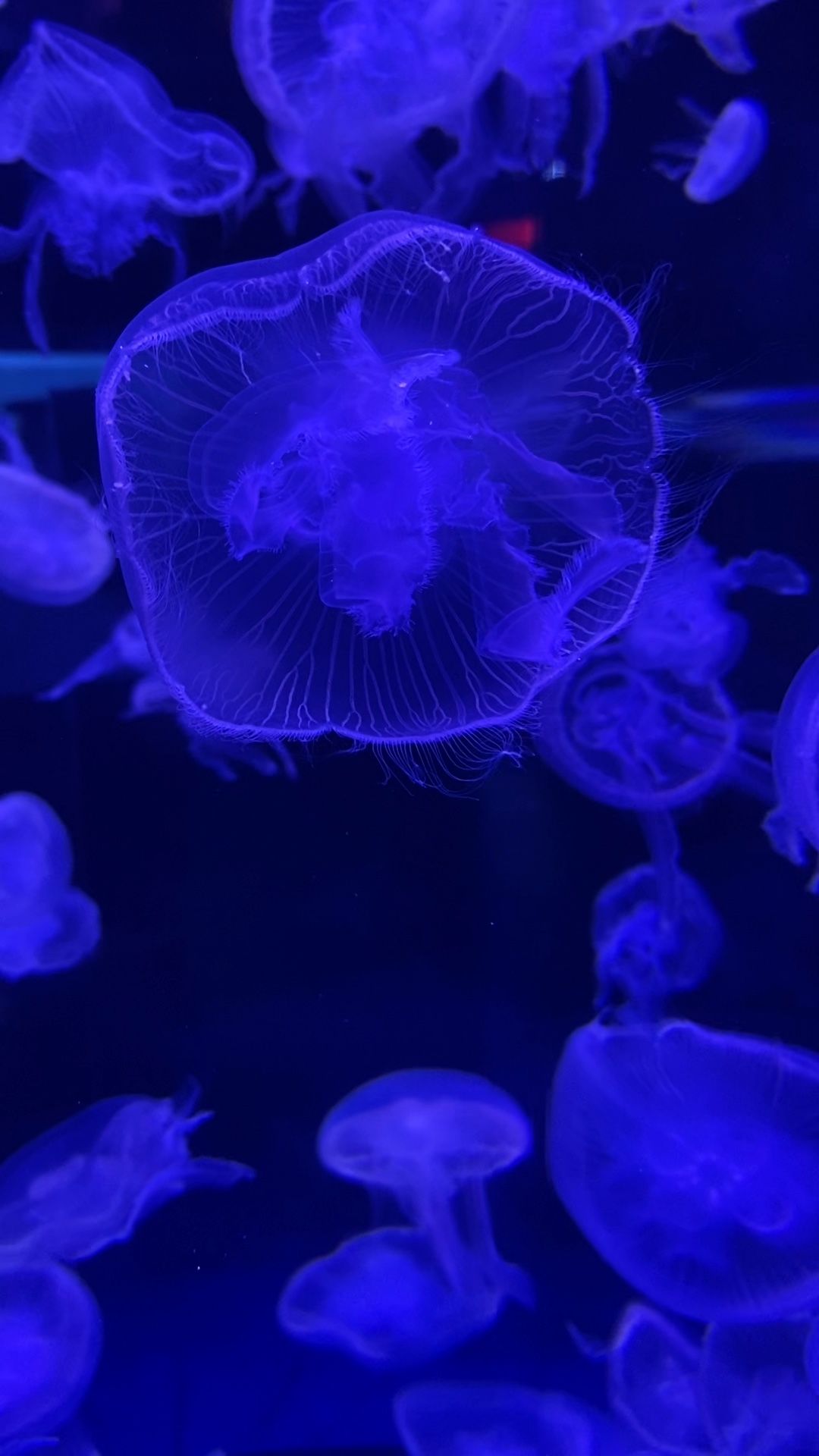 수족관 날짜 🐳