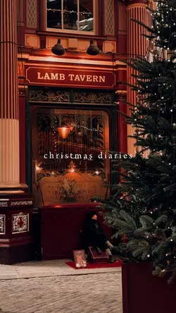 christmas diairies