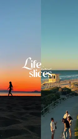 Life in slices