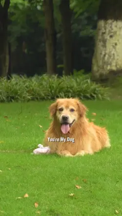 You’re my dog