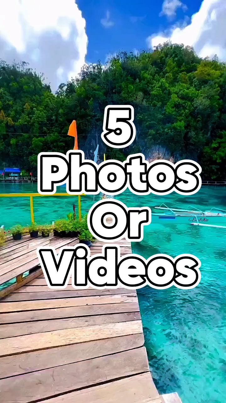Mini Vlog