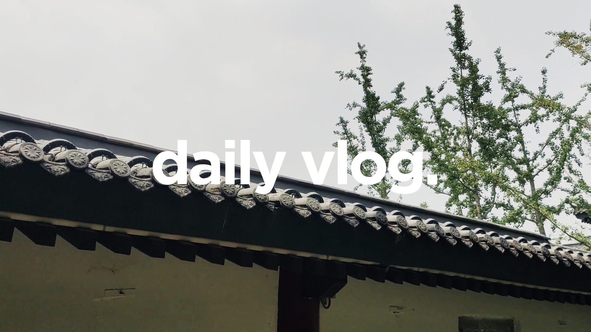 Construction Vlog