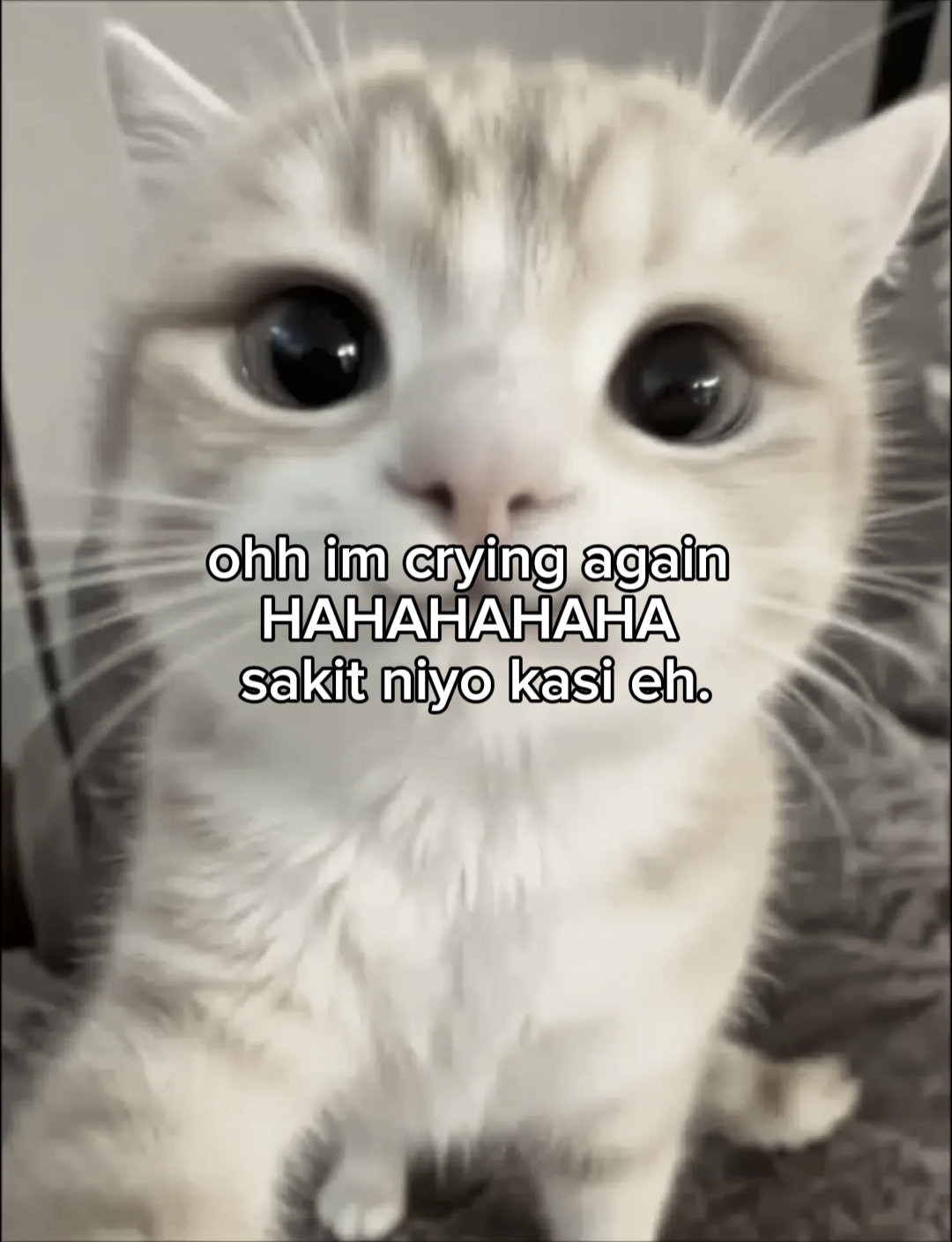 Sakit niyo kasi. 